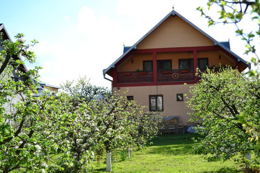 Hotel Casa Andrada & Ilinca Hura-Humora Exteriér fotografie